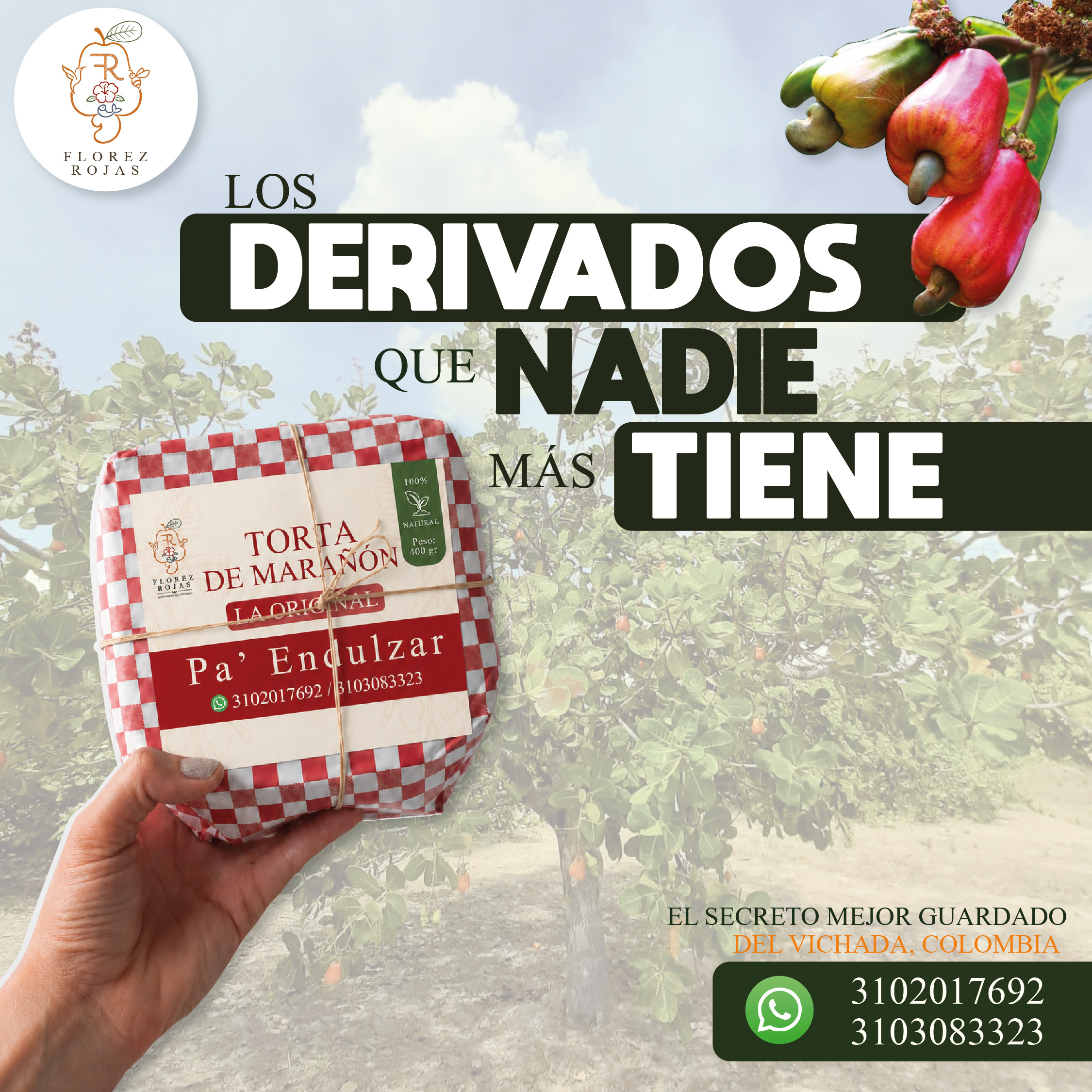 fr-flyer-5